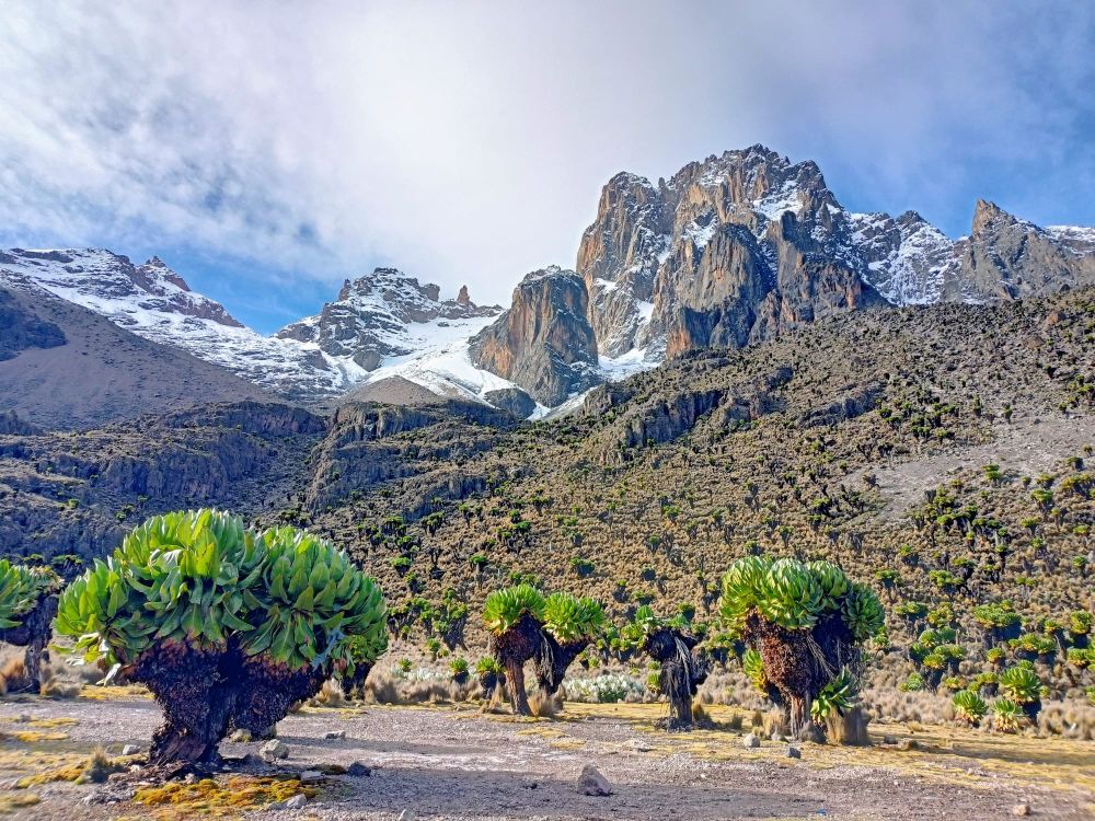 Piękno Mount Kenia - drugiej góry Afryki