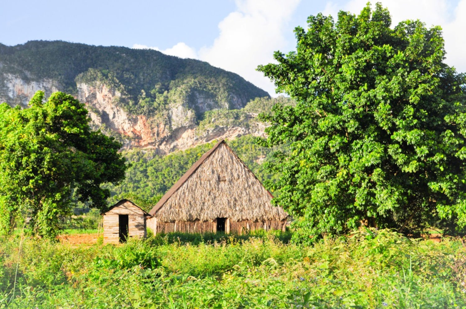 Casa de tabaco