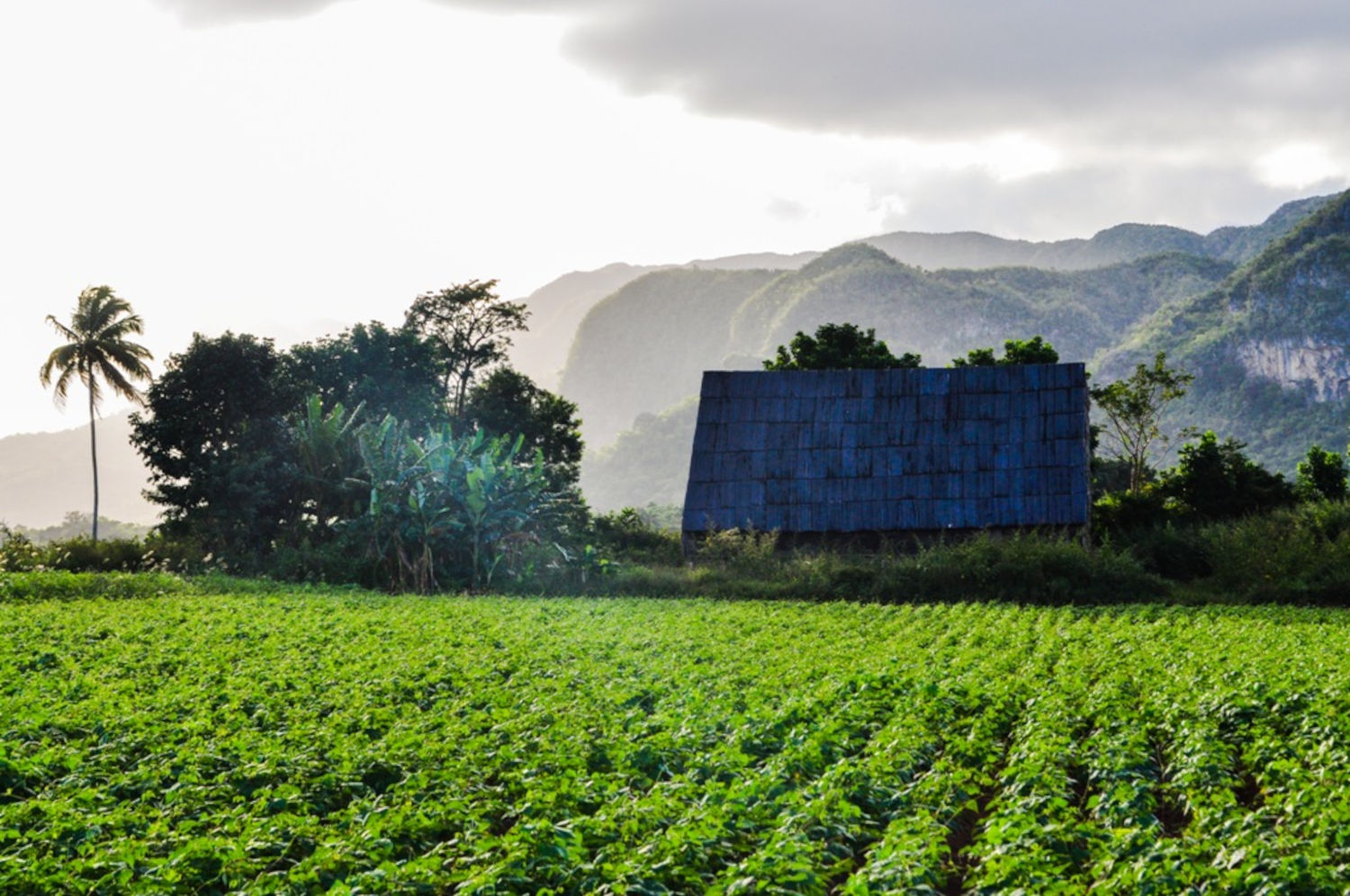 Zmierzch nad Viñales…