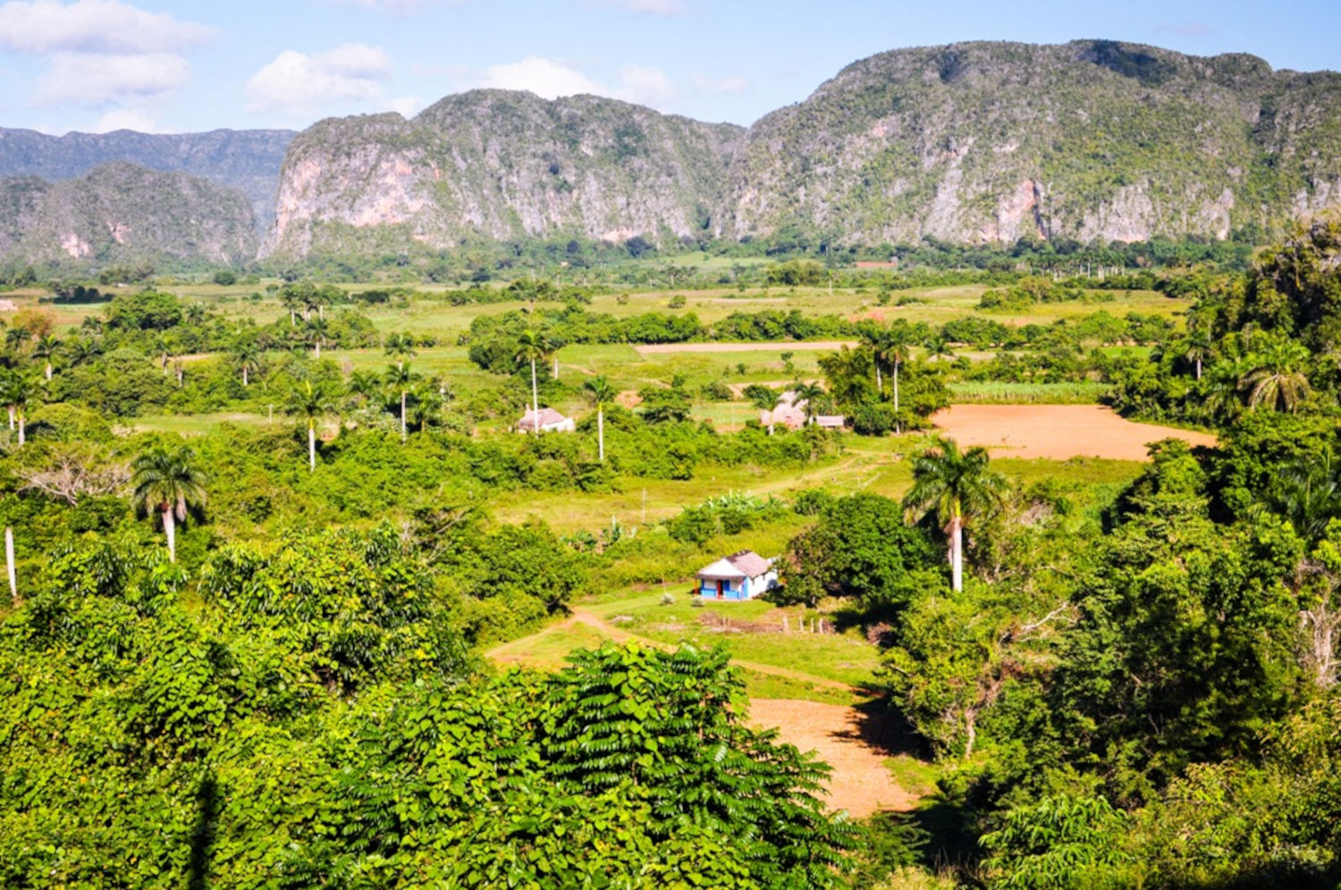 Piękno Valle de Viñales