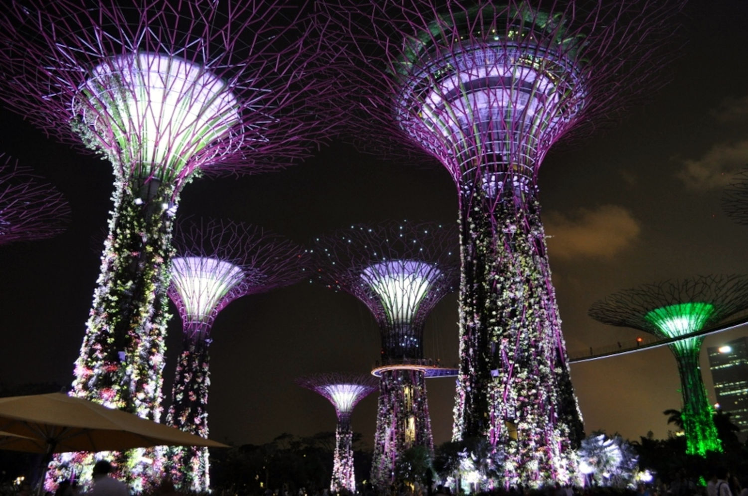 Gardens by the Bay nocą…