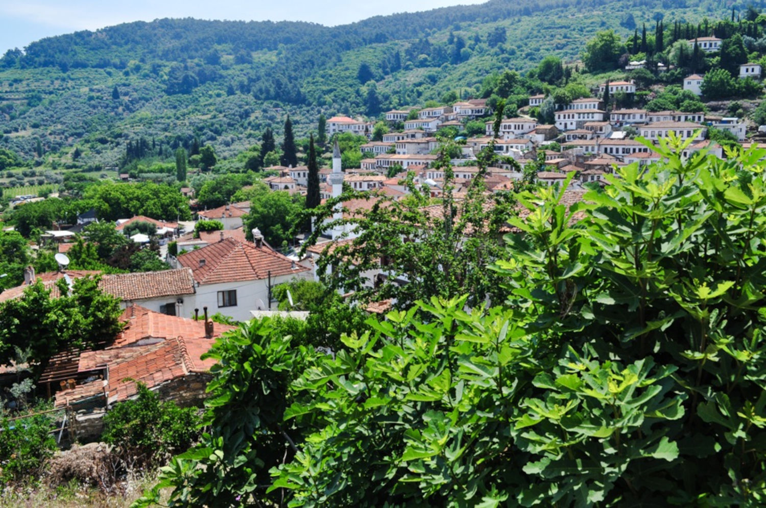 Panorama na Şirince