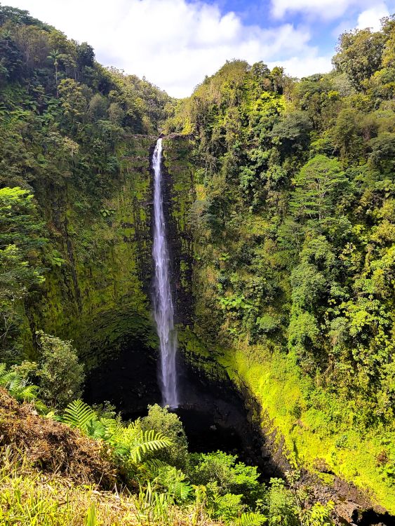 Tropikalny klimat Hawaii Tropikalny klimat Hawaii